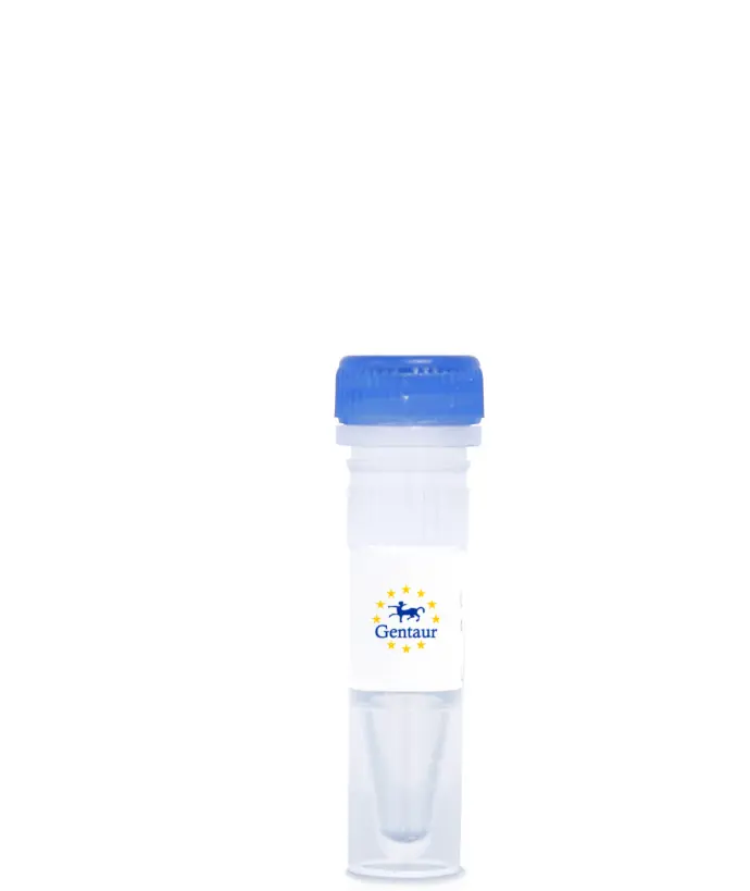 Human Universal Reference Total RNA - 1x0.05 mg