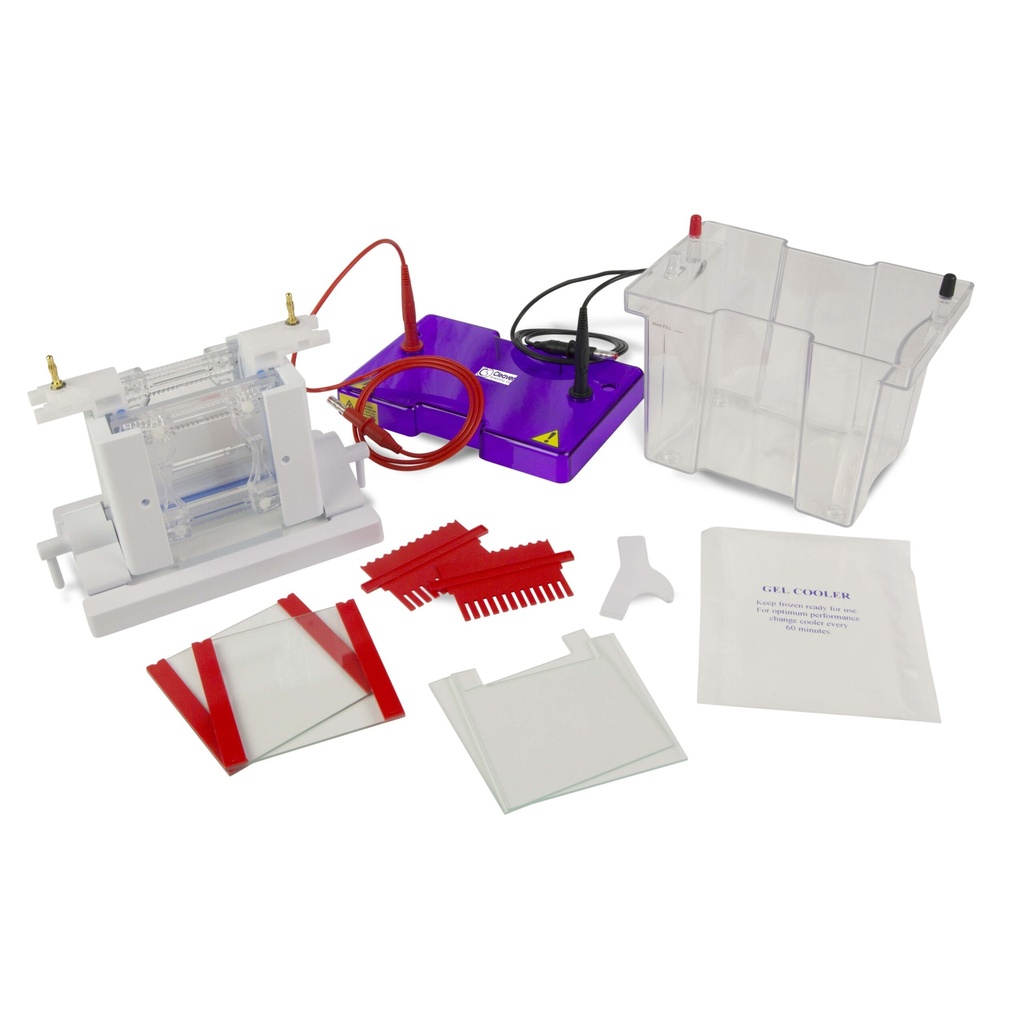 OmniPAGE Mini Dual Vertical Gel Electrophoresis Tank 10 x 10cm. Complete with, 2 Sets of Glass Plates, 1mm Thick Bonded Spacers, 2 x 12 Sample, 1mm Thick Combs, CLAMP VERSION